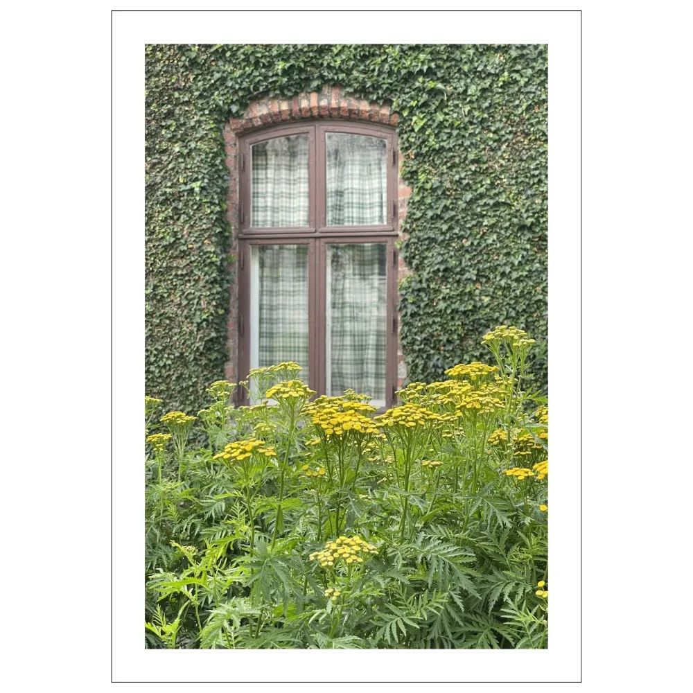 REINFANN – MUSÈHAGEN – PLAKAT OG LERRET