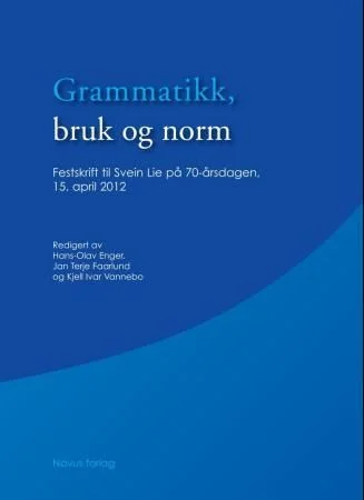 Grammatikk, bruk og norm