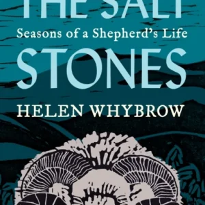 The Salt Stones The Salt Stones