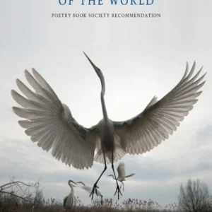 In the Lateness of the World In the Lateness of the World