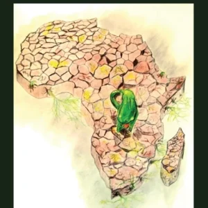 Developing Africa? Developing Africa?