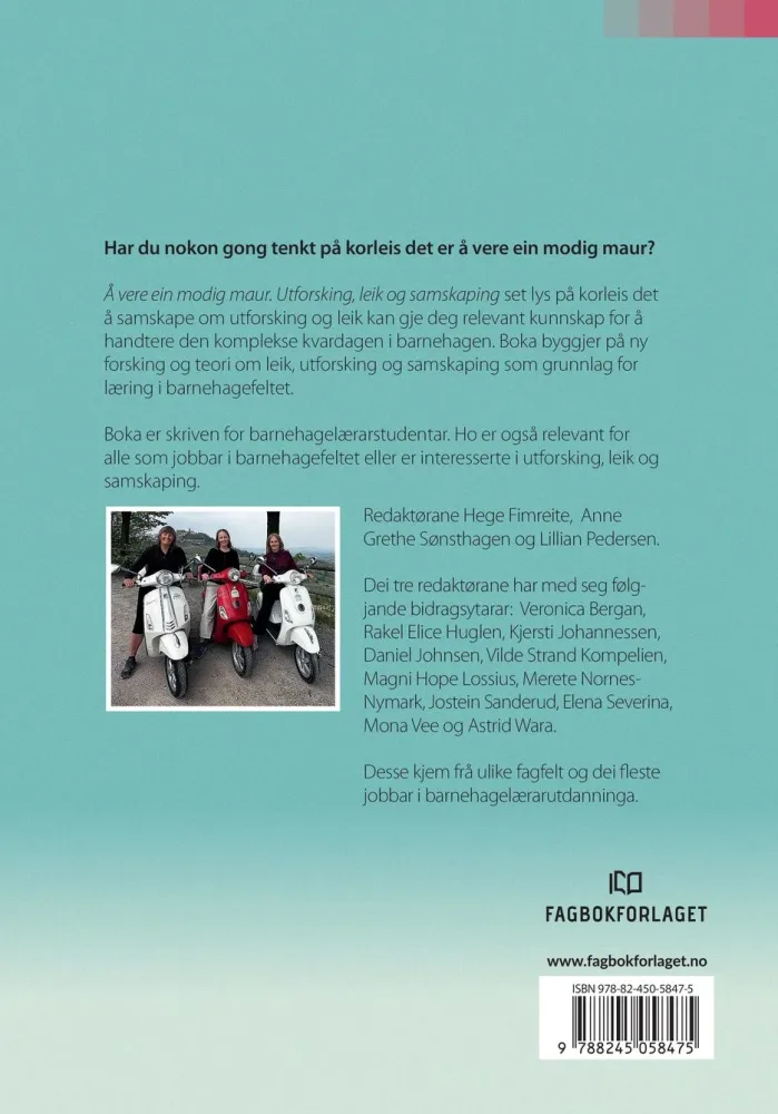 Å vere ein modig maur - Bilde 2