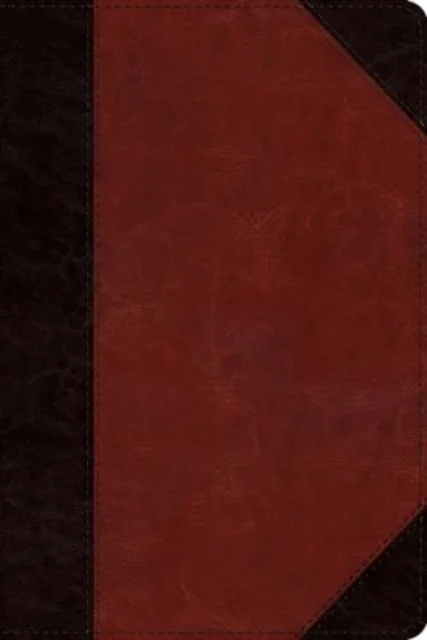 ESV Study Bible, Personal Size (TruTone, Brown/Cordovan, Portfolio Design)