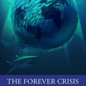 The Forever Crisis
