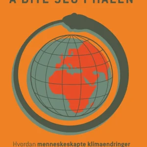 Å bite seg i halen Å bite seg i halen