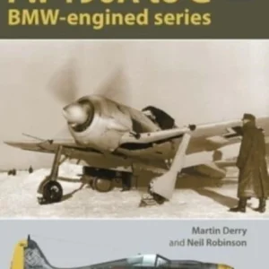 Flight Craft Special 2: The Focke-Wulf Fw 190