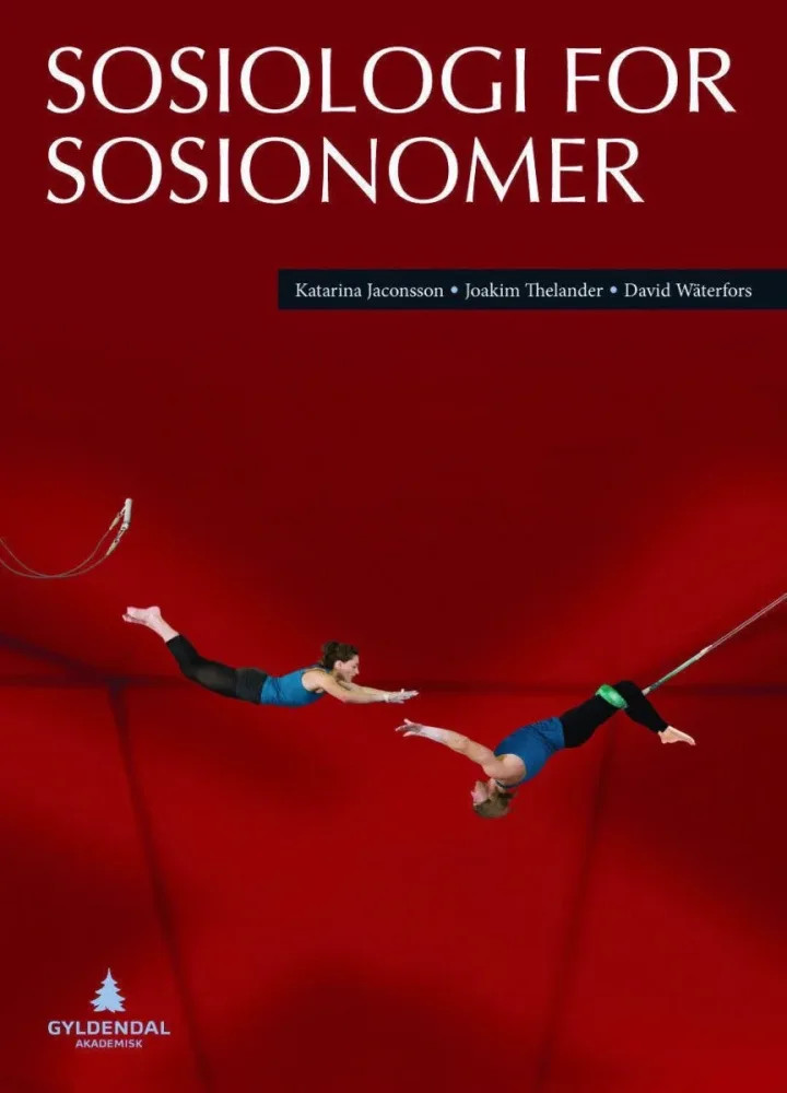 Sosiologi for sosionomer - Bilde 2