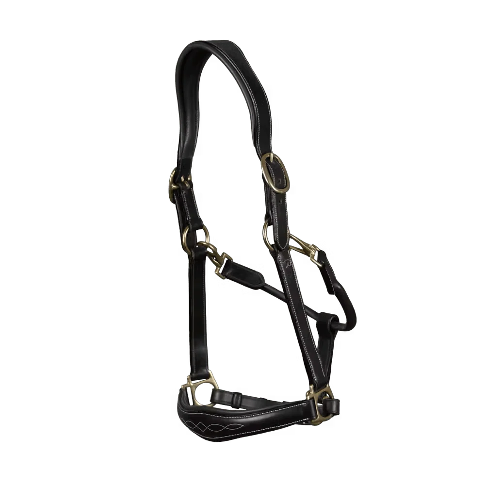 Dyon Leather Head Collar D Collection Dyon Leather Head Collar D Collection