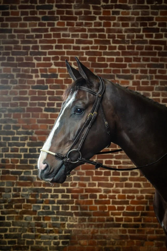 Dyon Rope Drop Noseband Bridle D Collection - Bilde 2