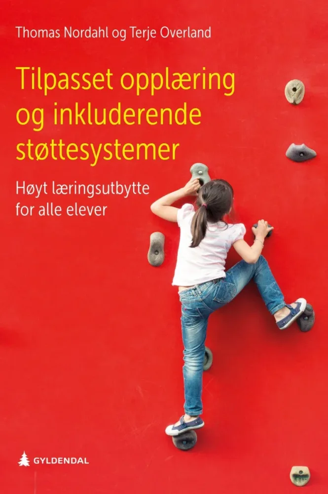 Tilpasset opplæring og inkluderende støttesystemer - Bilde 2