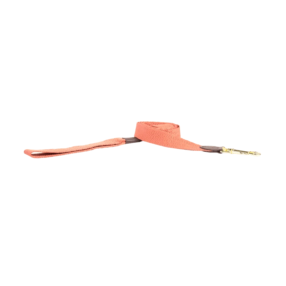 Kentucky Dog Lead Jacquard - Bilde 3