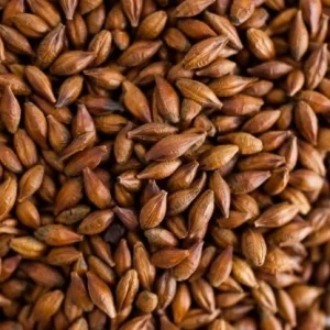 Brown Malt (175-200 EBC) 100G – Thomas Fawcett