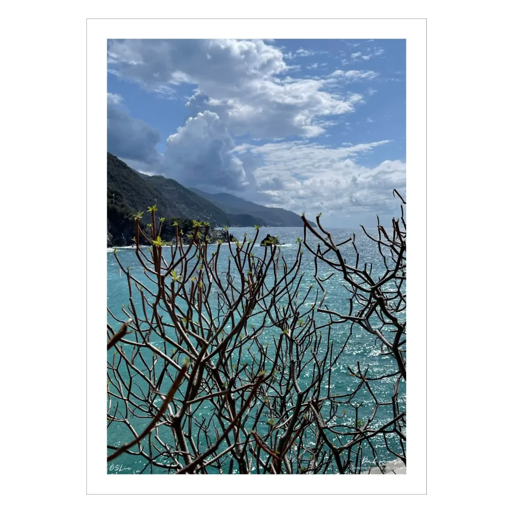 MONTEROSSO AL MARE No6 - PLAKAT OG LERRET