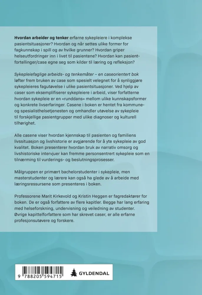 Sykepleiefaglige arbeids- og tenkemåter - Bilde 3