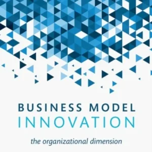 Business Model Innovation Business Model Innovation