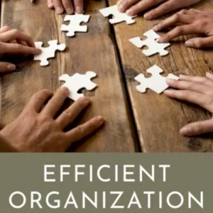 Efficient Organization