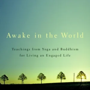 Awake in the World Awake in the World