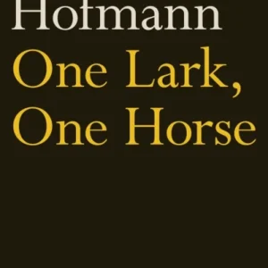 One Lark, One Horse One Lark, One Horse