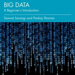 Big Data Big Data