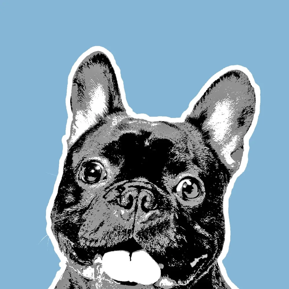 Bulldog. Blå