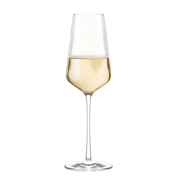 STARlight Champagne Glass 290ml 6 stk - Stölzle Lausits - Bilde 2
