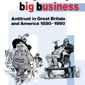 Regulating Big Business Regulating Big Business