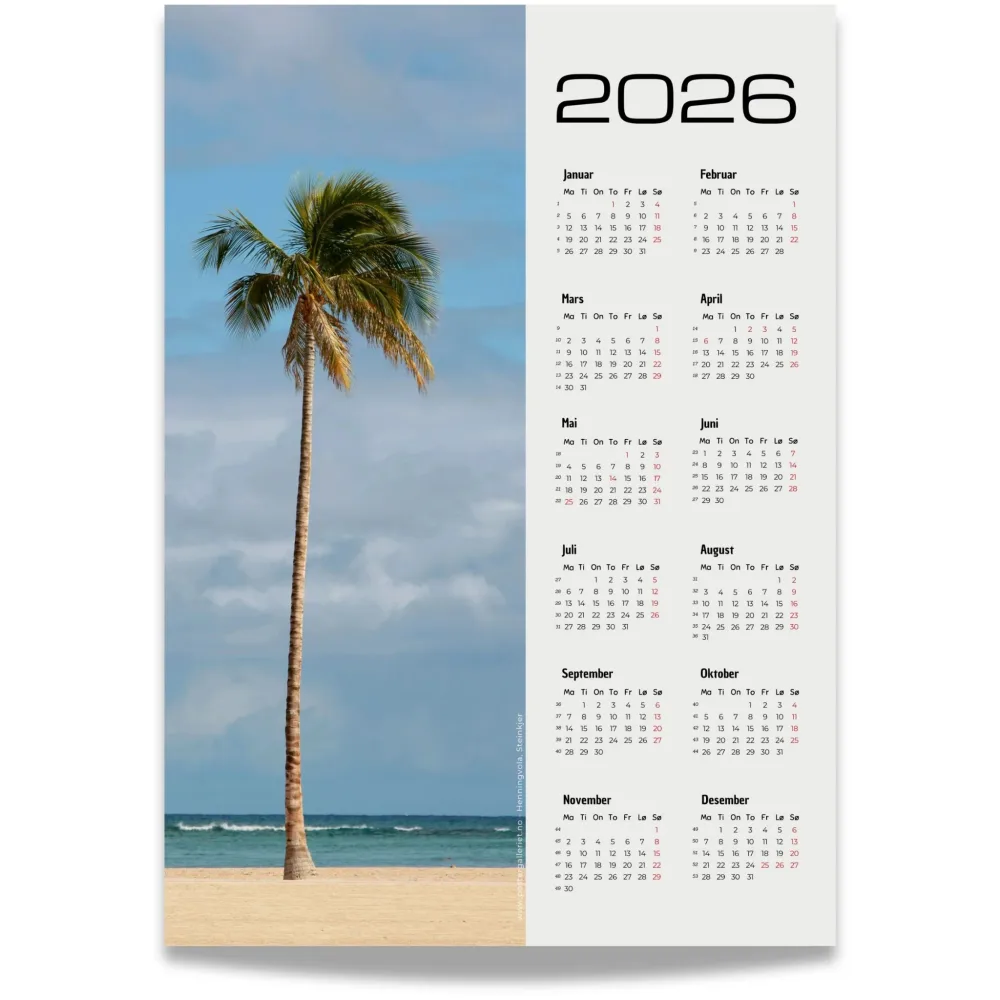 KALENDER 2026 – TROPISK STRANDPALME KALENDER 2026 – TROPISK STRANDPALME