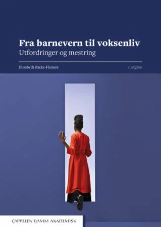 Fra barnevern til voksenliv - Bilde 2