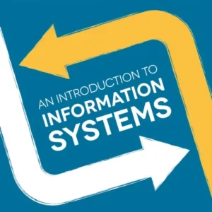 An Introduction to Information Systems