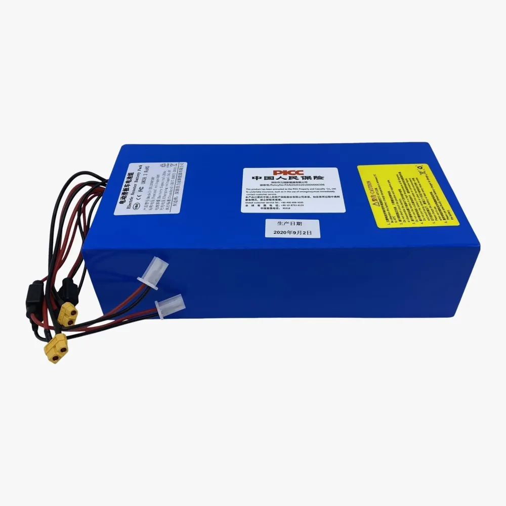 25 AH batteri ClassyWalk® S500/S700 25 AH batteri ClassyWalk® S500/S700