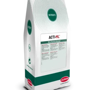 ACTI-ML 1kg – Lallemand ACTI-ML 1kg – Lallemand